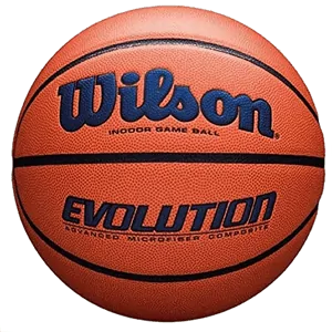 Boa de Basquete Wilson Evolution
