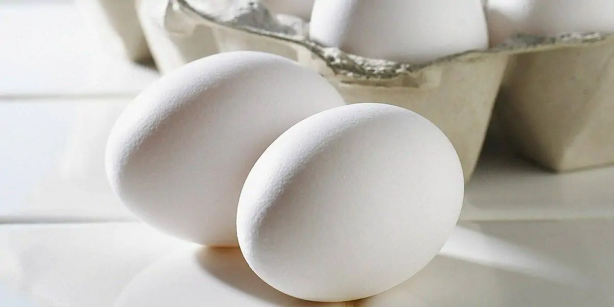 A albumina é um suplemento fabricado a partir da clara do ovo.