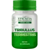 Tribullus Terrestris — Farmacia Eficacia